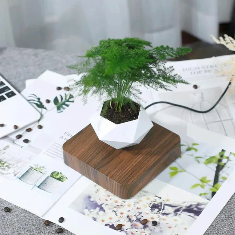 Pot en lévitation sur socle bois foncé