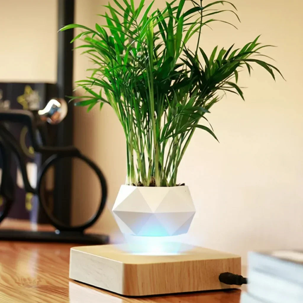 Pot blanc en lévitation avec une plante verte