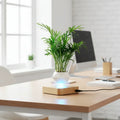 Pot en lévitation avec une plante sur un bureau