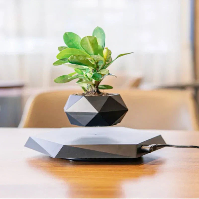 Pot noir en lévitation avec une plante