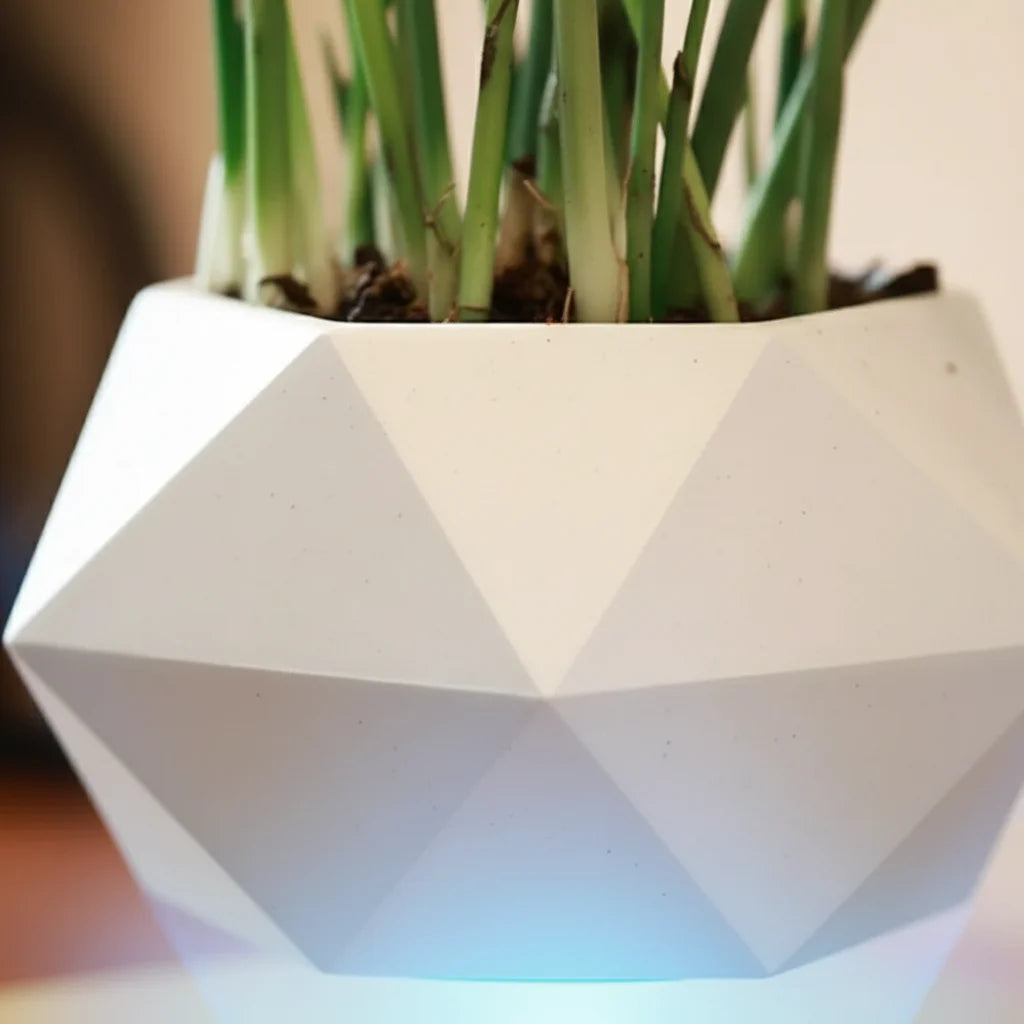 Gros plan sur le pot géométrique blanc