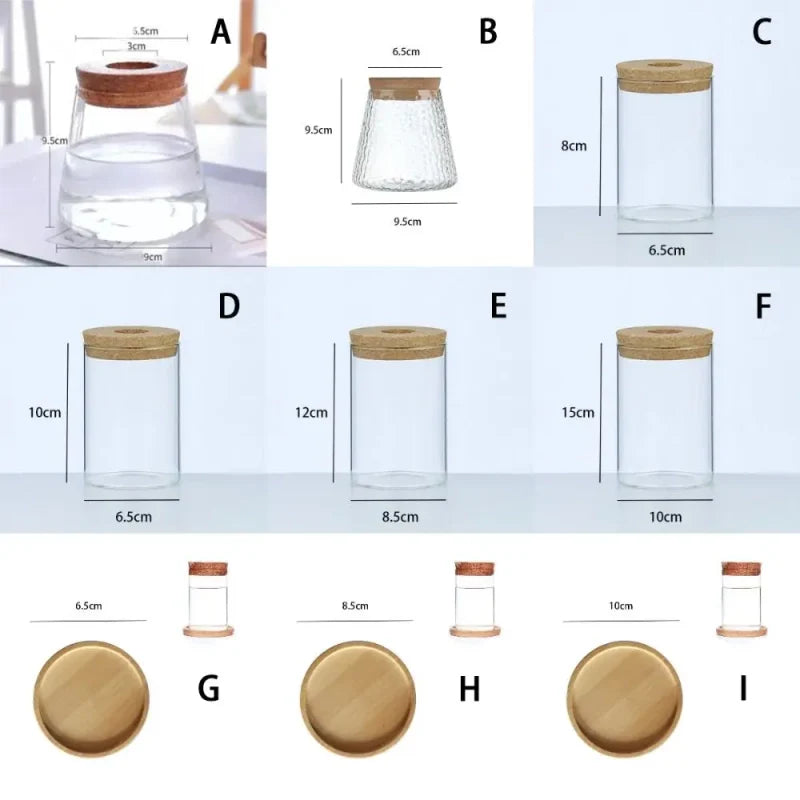 Les différents formats de vases hydroponiques
