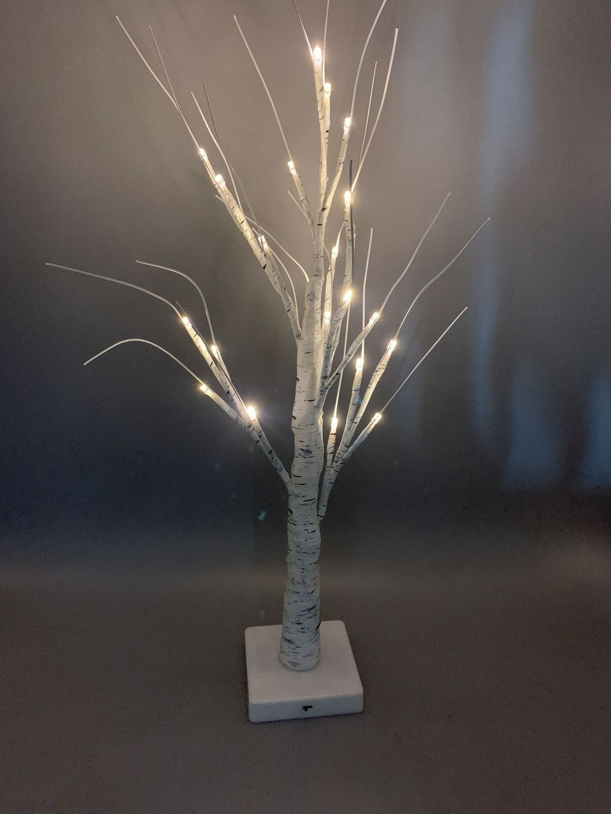 Bouleau lumineux blanc allumé sur fond sombre
