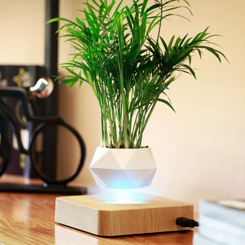 Pot blanc en lévitation sur socle bois