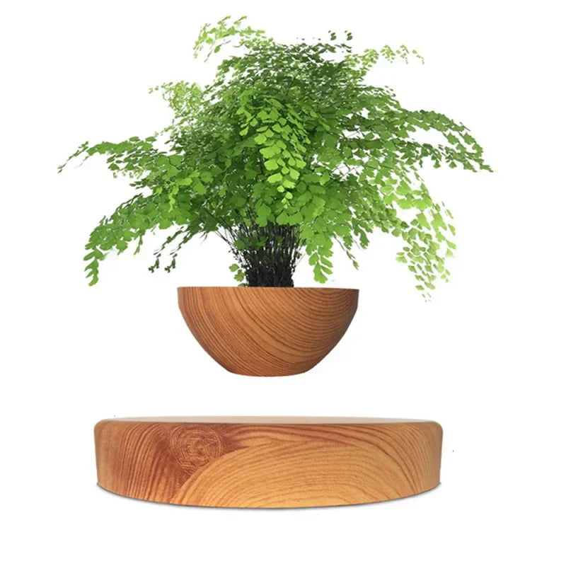 Pot effet bois en lévitation avec une fougère