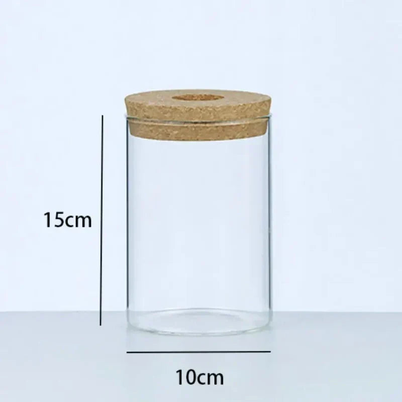 Grand vase hydroponique avec dimensions