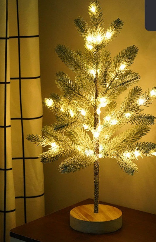 Petit pin lumineux allumé dans la pénombre